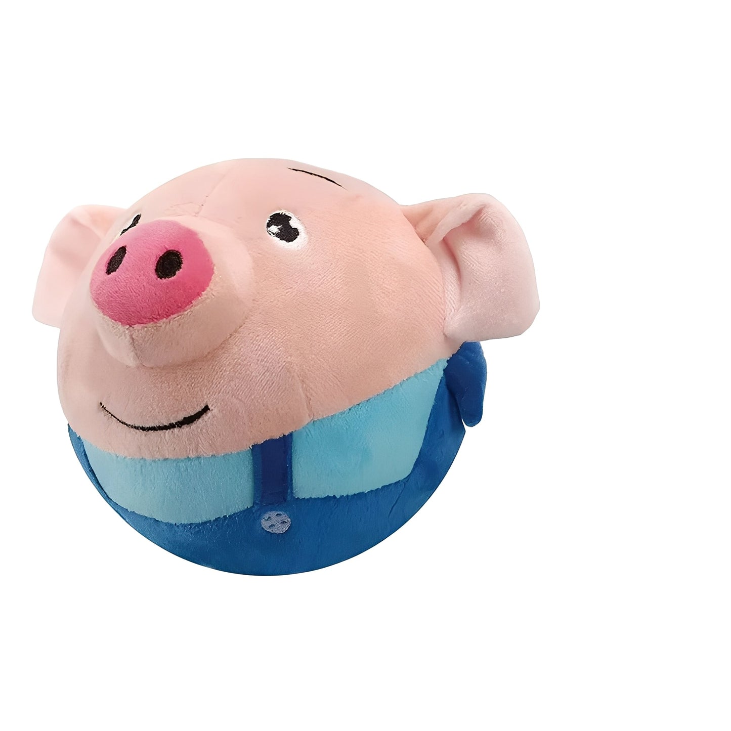 Dog Toy Ball with Touch Activated Music and Motion