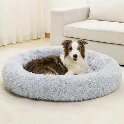 Plush Pet Bed with Cushioned Design