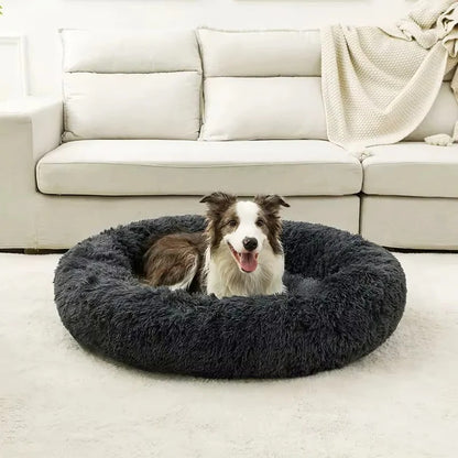Plush Pet Bed with Cushioned Design