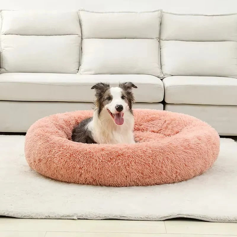 Plush Pet Bed with Cushioned Design