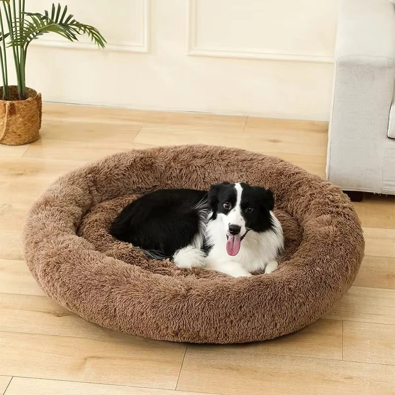 Plush Pet Bed with Cushioned Design