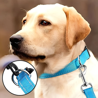 Adjustable Nylon Dog Collar with Clip Buckle