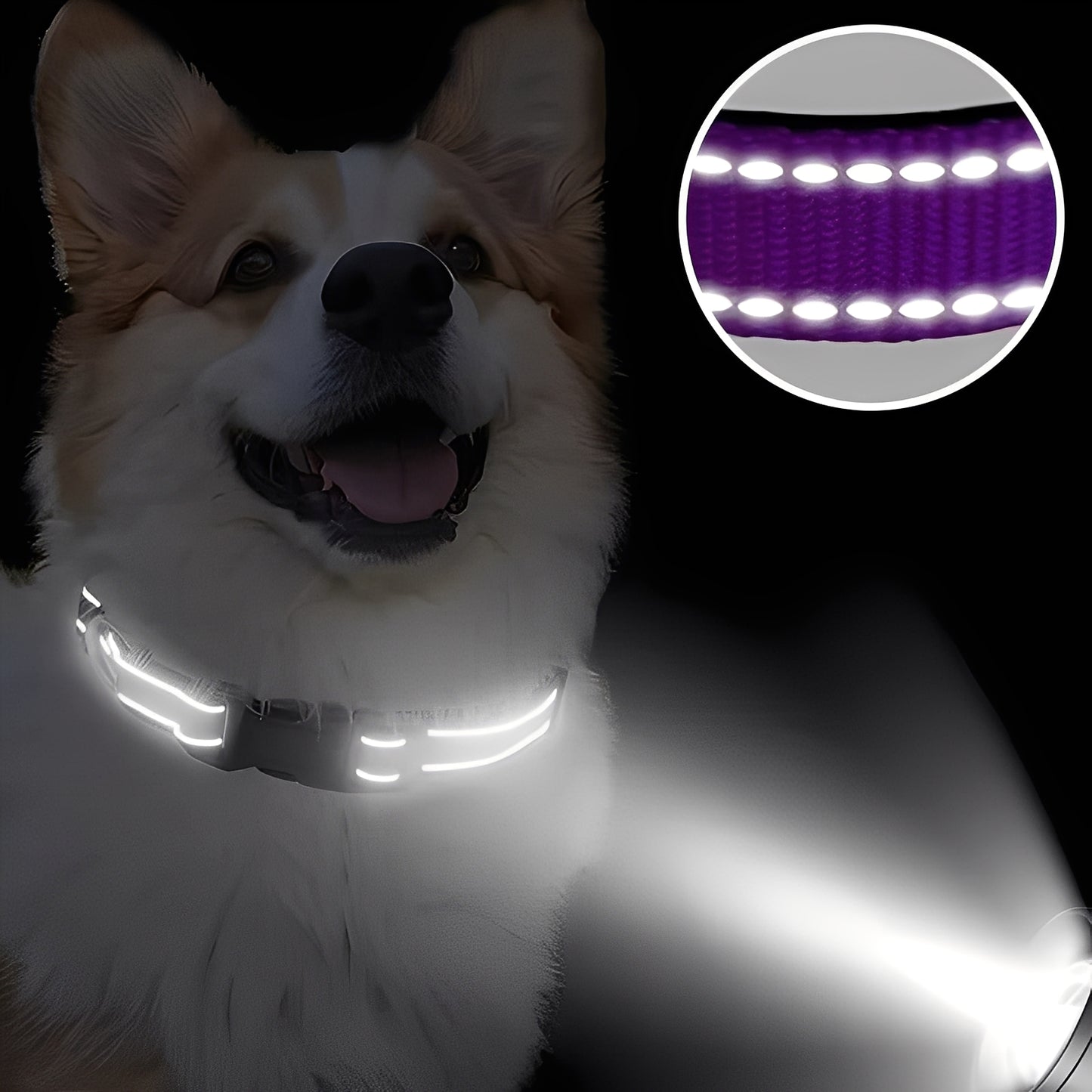 Adjustable Nylon Dog Collar with Clip Buckle