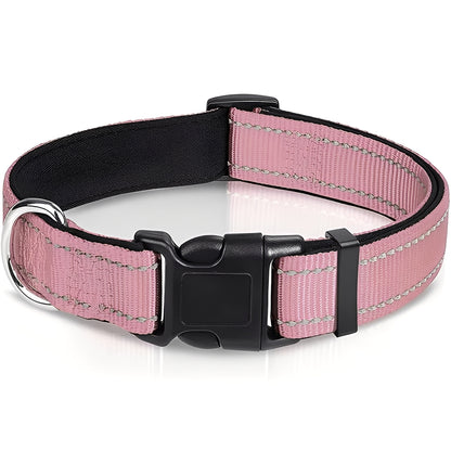 Adjustable Nylon Dog Collar with Clip Buckle