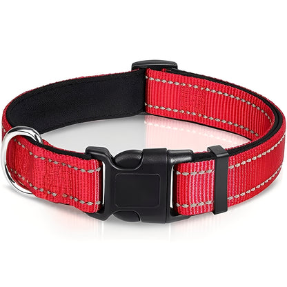 Adjustable Nylon Dog Collar with Clip Buckle