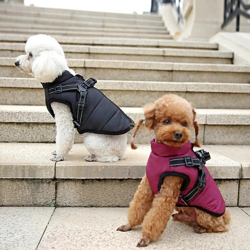 Insulated Dog Coat with Built In Harness for Cold Weather