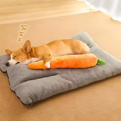 Plush Dog Toy with Sound in Carrot Shape