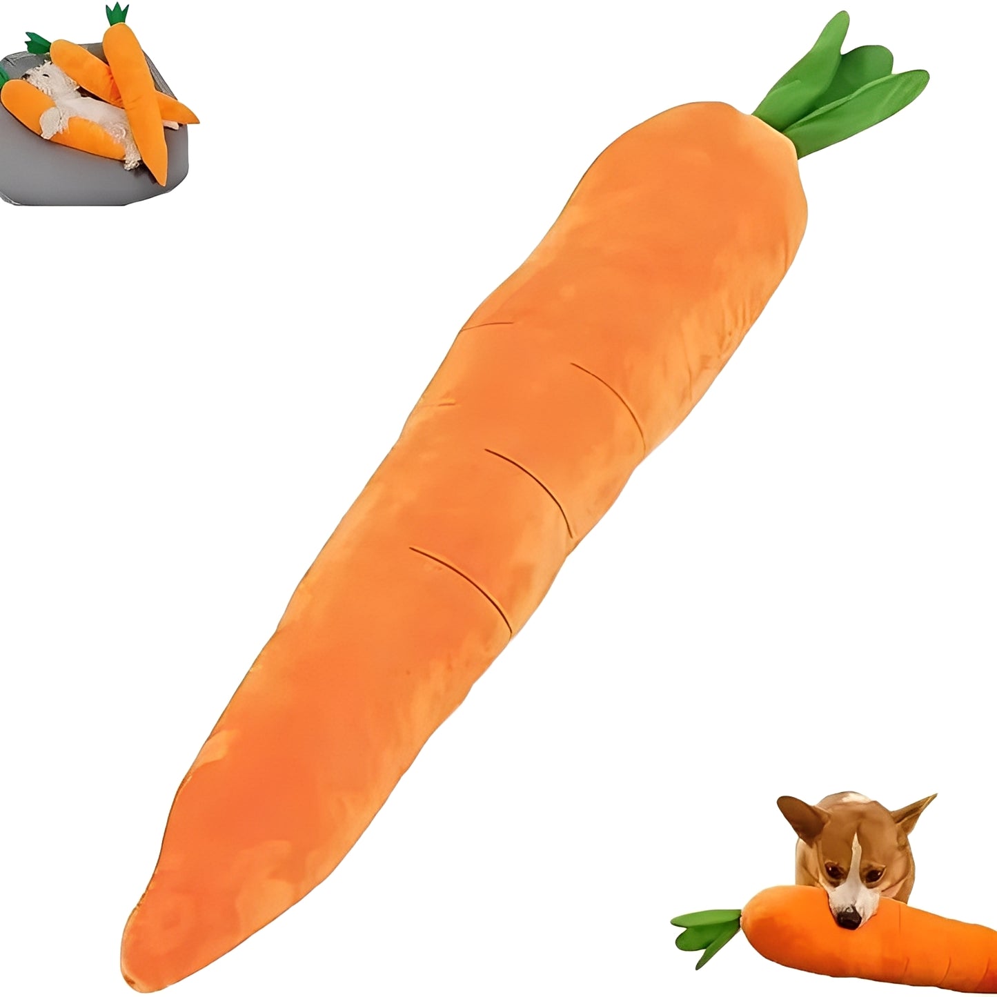 Plush Dog Toy with Sound in Carrot Shape