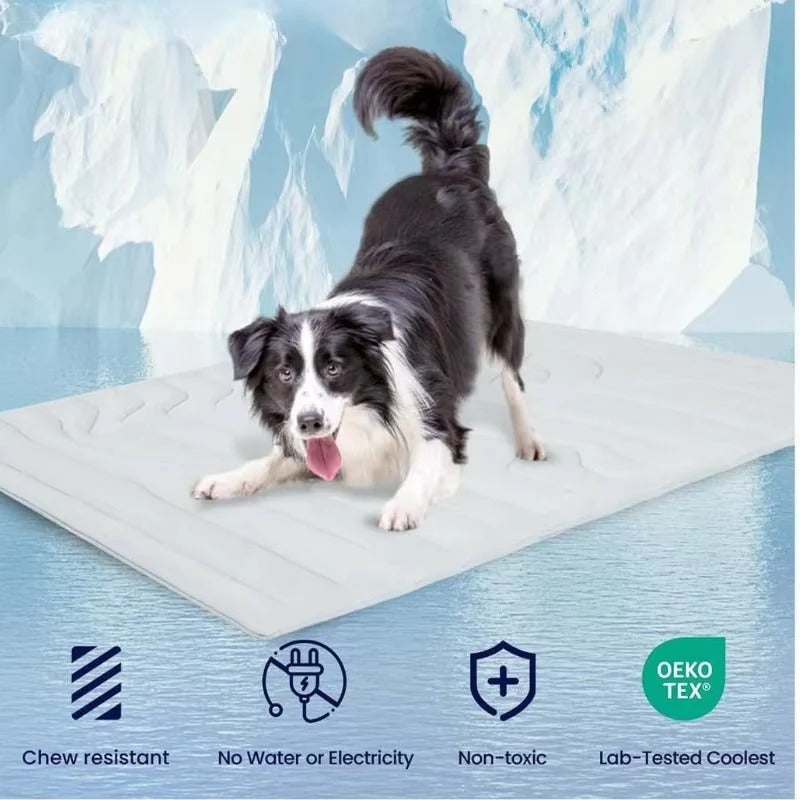 Portable Cooling Mat for Pets Indoor and Travel Use