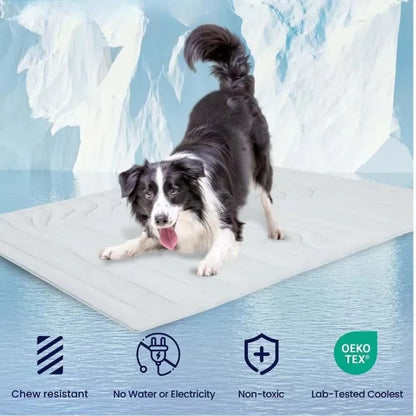 Portable Cooling Mat for Pets Indoor and Travel Use