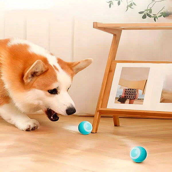 Rechargeable Rolling Ball Toy for Pets