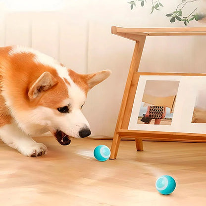 Rechargeable Rolling Ball Toy for Pets