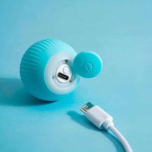 Rechargeable Rolling Ball Toy for Pets