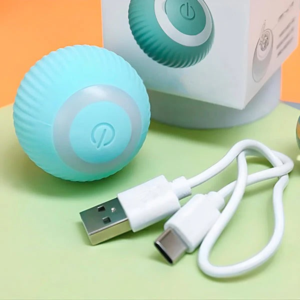Rechargeable Rolling Ball Toy for Pets