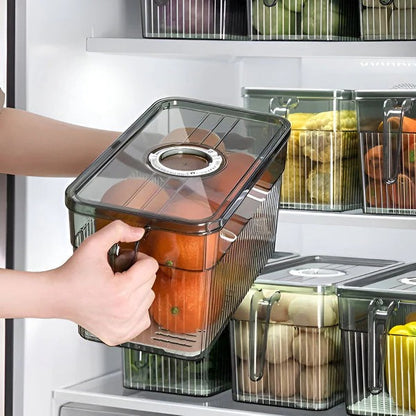 Refrigerator Storage Container Box for Kitchen Use