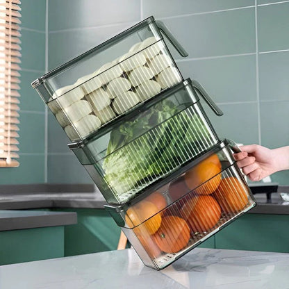 Refrigerator Storage Container Box for Kitchen Use