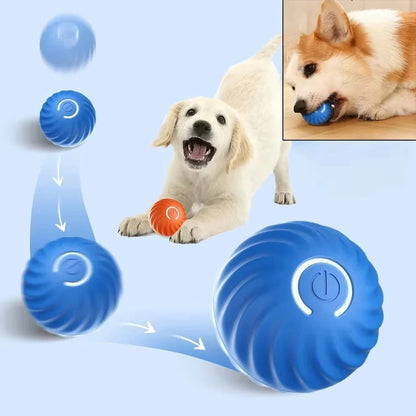 USB Rechargeable Moving Toy Ball for Pets