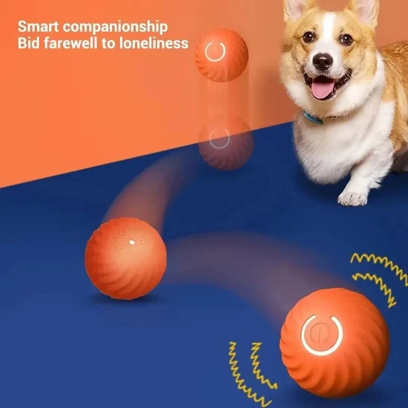USB Rechargeable Moving Toy Ball for Pets