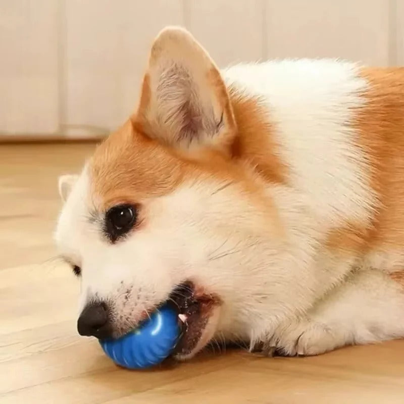 USB Rechargeable Moving Toy Ball for Pets