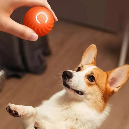 USB Rechargeable Moving Toy Ball for Pets