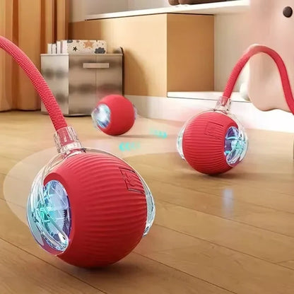 Rechargeable Rolling Cat Toy with Tail Attachment