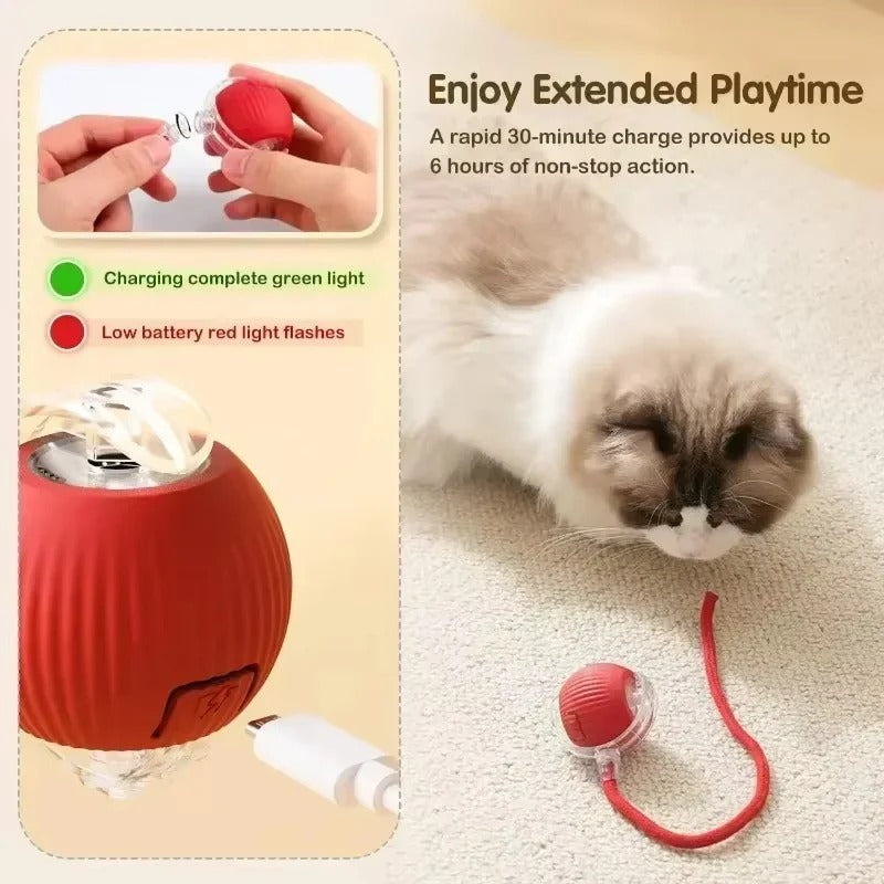 Rechargeable Rolling Cat Toy with Tail Attachment