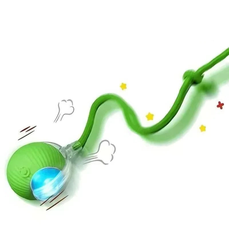 Rechargeable Rolling Cat Toy with Tail Attachment