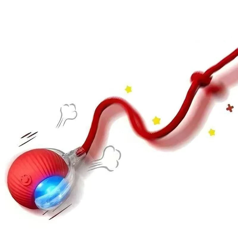 Rechargeable Rolling Cat Toy with Tail Attachment