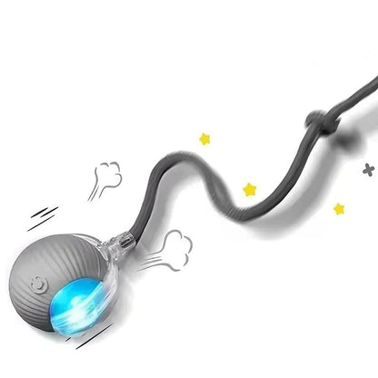 Rechargeable Rolling Cat Toy with Tail Attachment