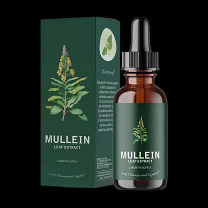Herbal Mullein Extract with Chlorophyll
