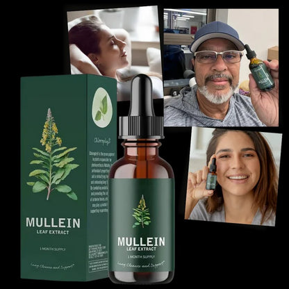 Herbal Mullein Extract with Chlorophyll