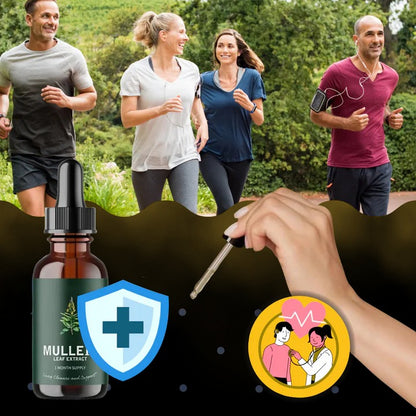 Herbal Mullein Extract with Chlorophyll