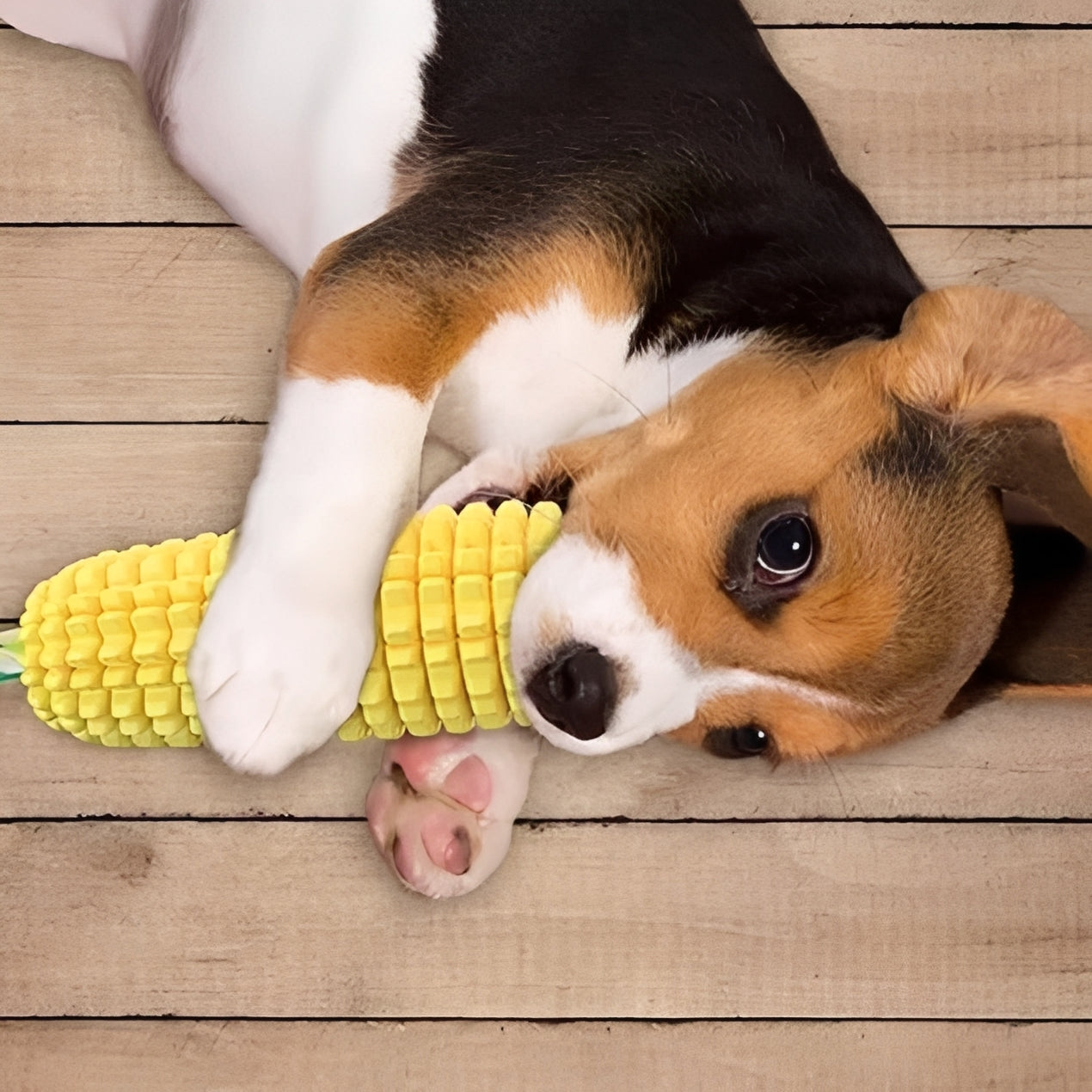 Corn Shaped Squeaky Chew Toy for Dogs