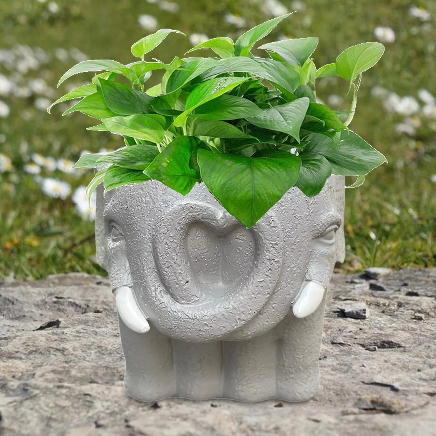 Small Cartoon Plant Pot for Succulents and Decorative Home Display