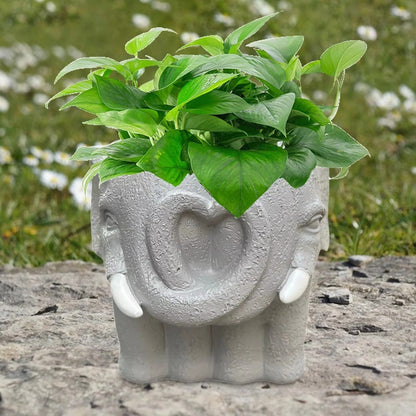 Small Cartoon Plant Pot for Succulents and Decorative Home Display