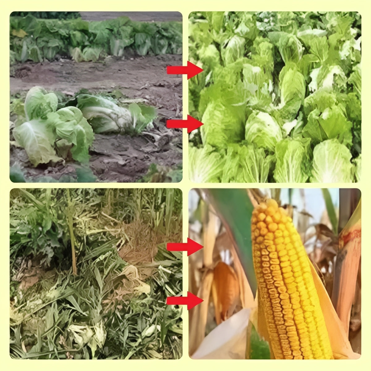 Solar Powered Animal Repellent with Warning Light System