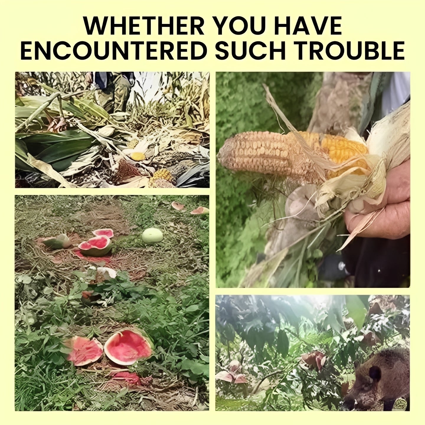 Solar Powered Animal Repellent with Warning Light System