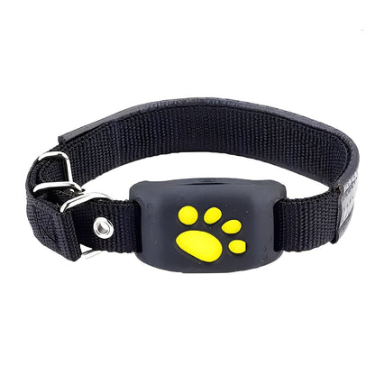 GPS Pet Collar with App Location Features and Adjustable Strap