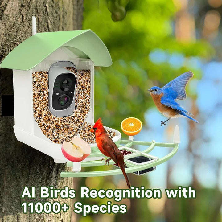 Smart Bird Feeder Camera with App Control and Night Vision