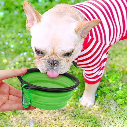 Portable Collapsible Silicone Pet Bowl for Dogs and Cats