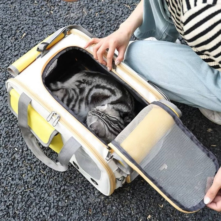 Pet Carrier for Cats and Small Dogs Travel
