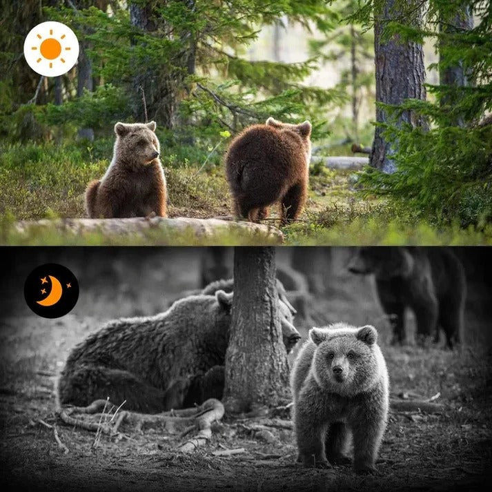 Trail Camera with PIR Motion Sensor and Infrared Night Capture