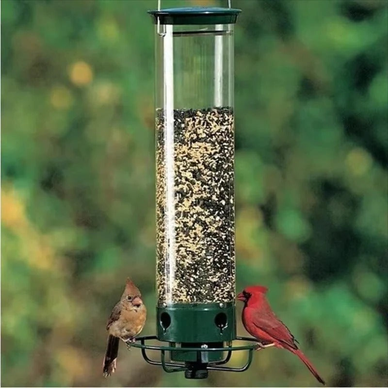 Window Mounted Metal Bird Feeder and Weight-Activated Perch for Seed Feeding