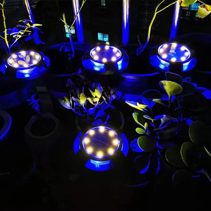 Outdoor Solar LED Ground Lights with Disk Style Design