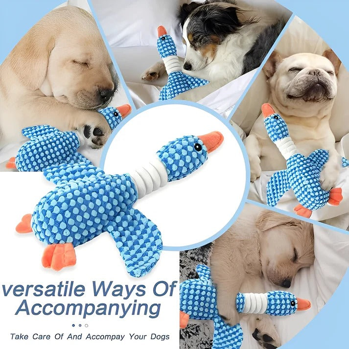 Dog Chew Toy with Plush Material and Built In Squeaker